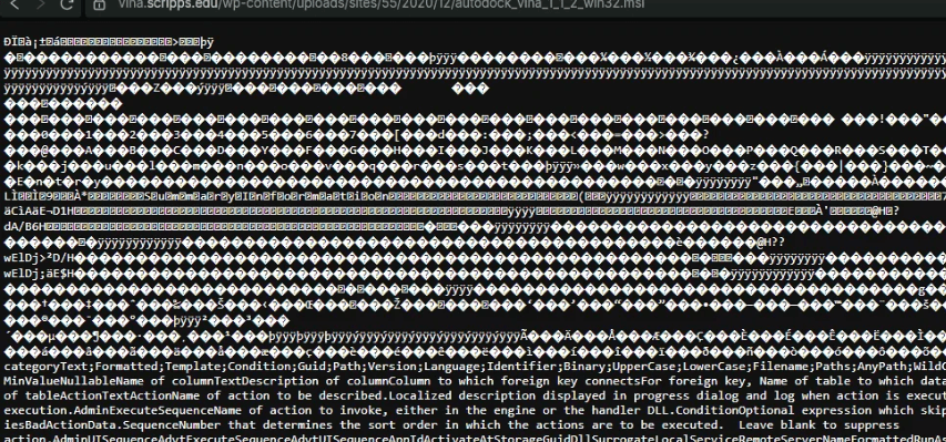 browser-showing-vina-executable-as-binary
