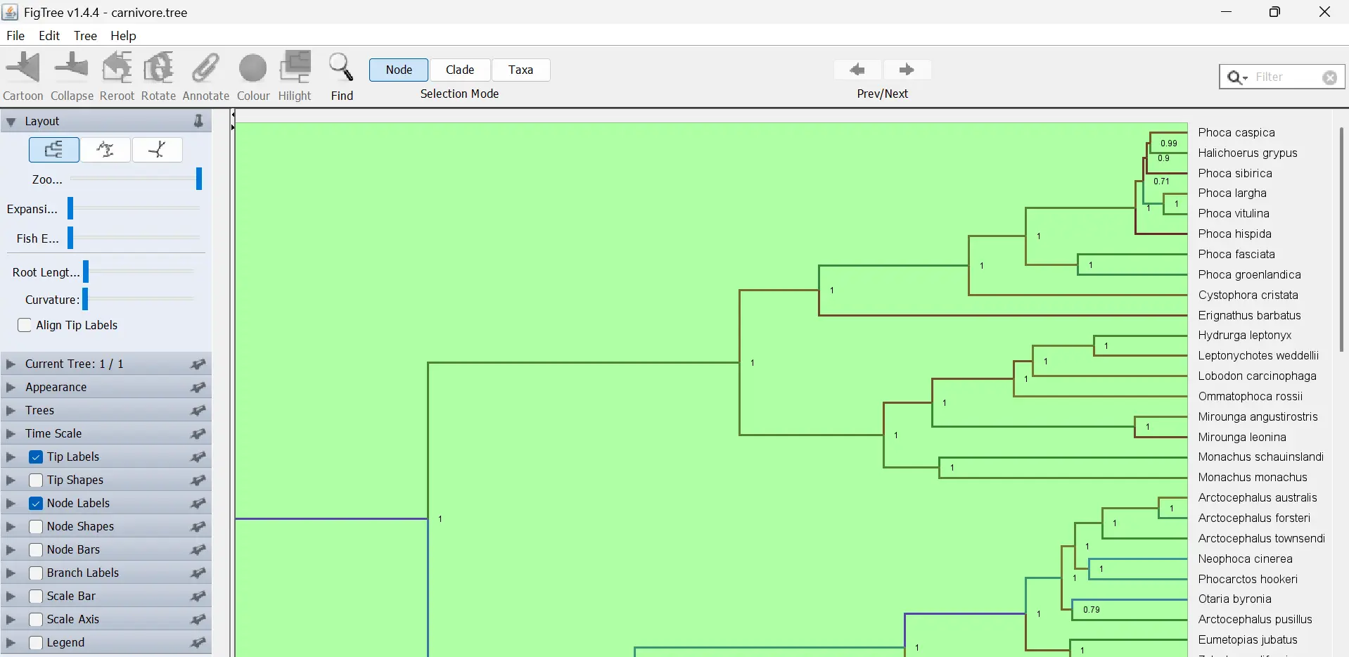 figtree-screenshot-carnivore-tree